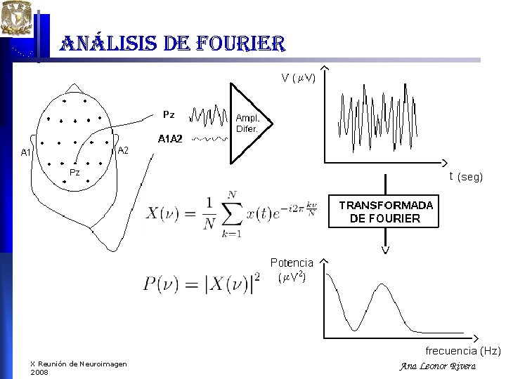 análisis de fourier X Reunión de Neuroimagen 2008 Ana Leonor Rivera análisis de fourier X Reunión de Neuroimagen 2008 Ana Leonor Rivera