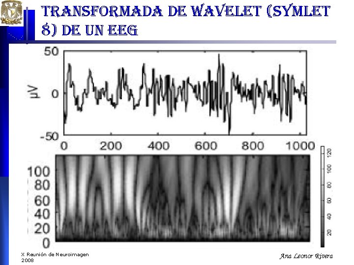 transformada de wavelet (symlet 8) de un eeg X Reunión de Neuroimagen 2008 Ana transformada de wavelet (symlet 8) de un eeg X Reunión de Neuroimagen 2008 Ana