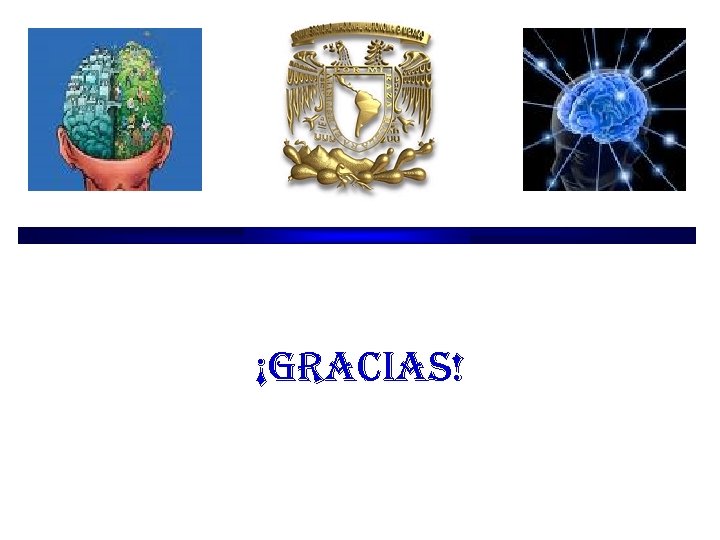 ¡gracias! ¡gracias!