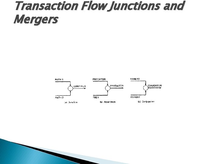 Transaction Flow Junctions and Mergers 