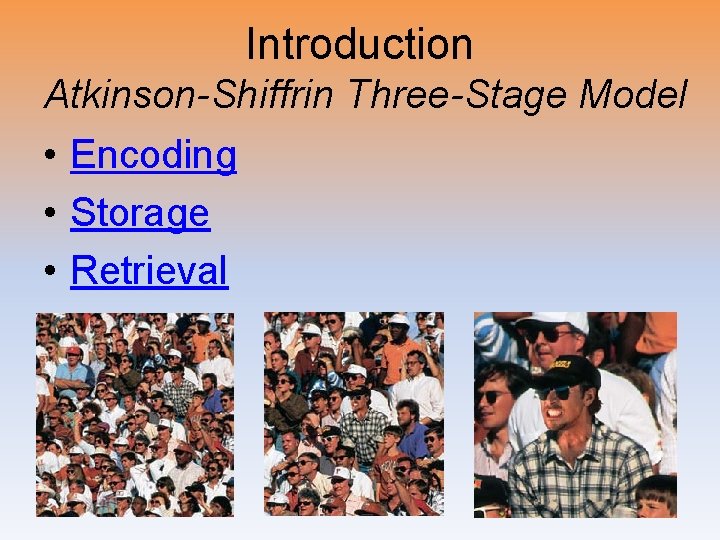 Introduction Atkinson-Shiffrin Three-Stage Model • Encoding • Storage • Retrieval 