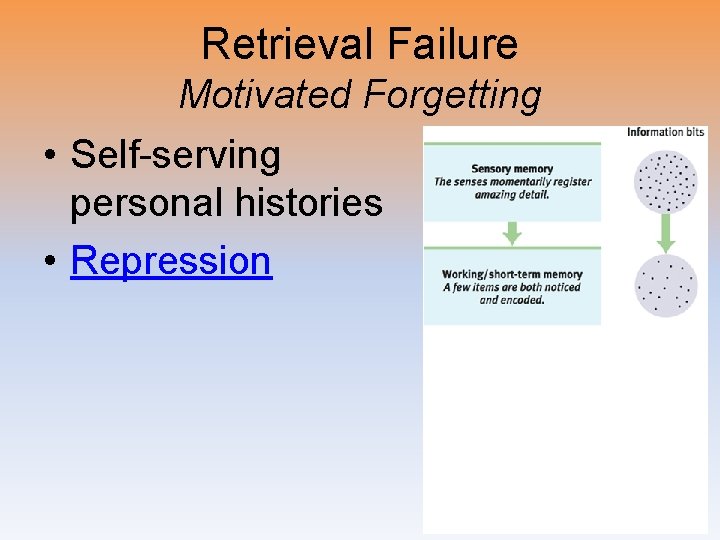 Retrieval Failure Motivated Forgetting • Self-serving personal histories • Repression 