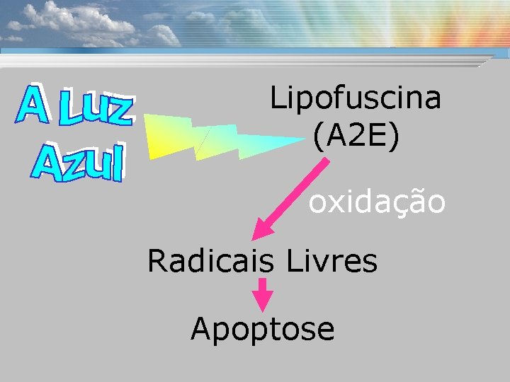 Lipofuscina (A 2 E) oxidação Radicais Livres Apoptose 