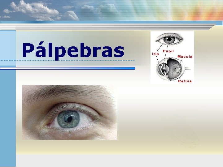 Pálpebras 