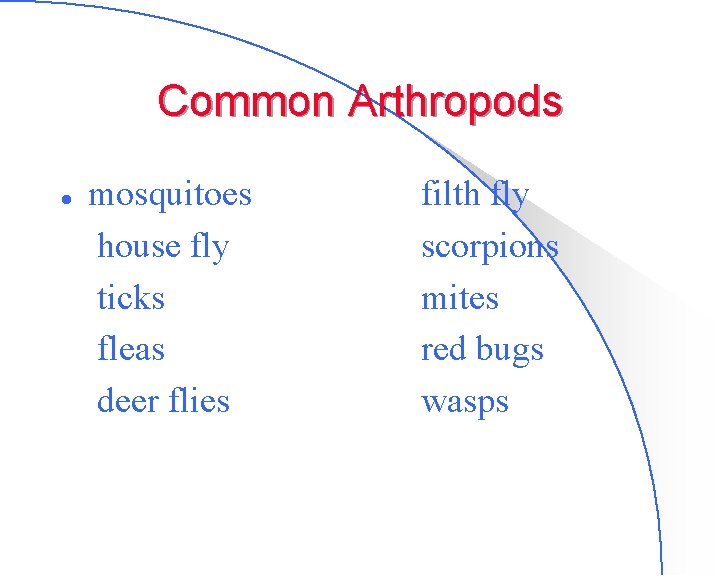 Common Arthropods l mosquitoes house fly ticks fleas deer flies filth fly scorpions mites