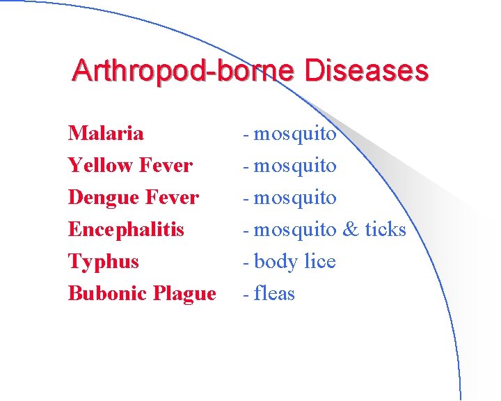 Arthropod-borne Diseases Malaria Yellow Fever Dengue Fever Encephalitis Typhus Bubonic Plague - mosquito &