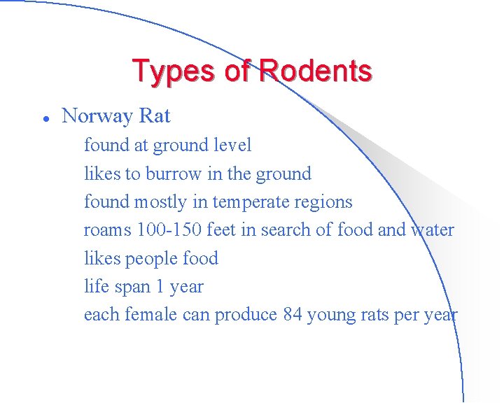 Types of Rodents l Norway Rat – found at ground level – likes to