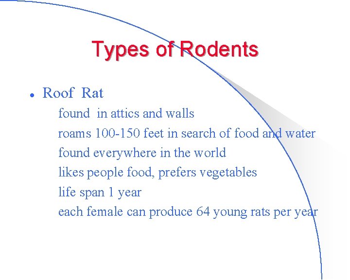 Types of Rodents l Roof Rat – found in attics and walls – roams