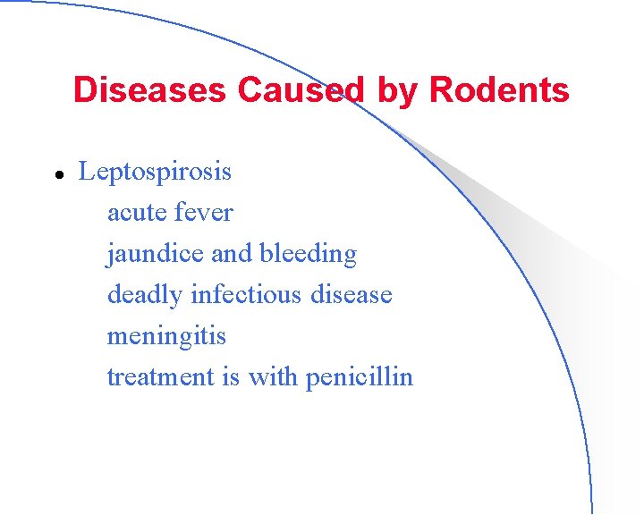 Diseases Caused by Rodents l Leptospirosis – acute fever – jaundice and bleeding –