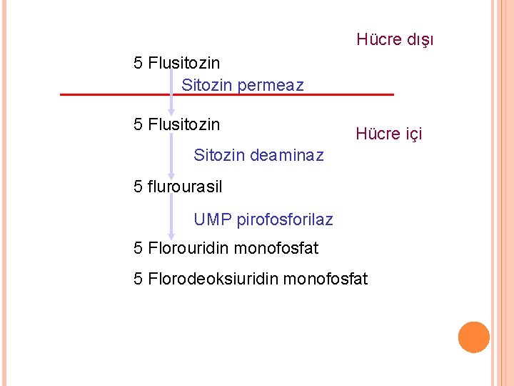 Hücre dışı 5 Flusitozin Sitozin permeaz 5 Flusitozin Hücre içi Sitozin deaminaz 5 flurourasil