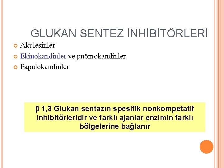 GLUKAN SENTEZ İNHİBİTÖRLERİ Akulesinler Ekinokandinler ve pnömokandinler Papülokandinler 1, 3 Glukan sentazın spesifik nonkompetatif GLUKAN SENTEZ İNHİBİTÖRLERİ Akulesinler Ekinokandinler ve pnömokandinler Papülokandinler 1, 3 Glukan sentazın spesifik nonkompetatif
