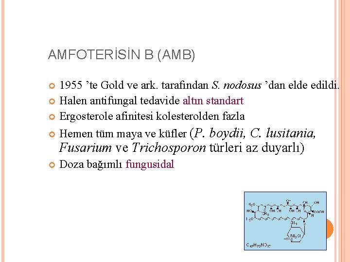 AMFOTERİSİN B (AMB) 1955 ’te Gold ve ark. tarafından S. nodosus ’dan elde edildi.