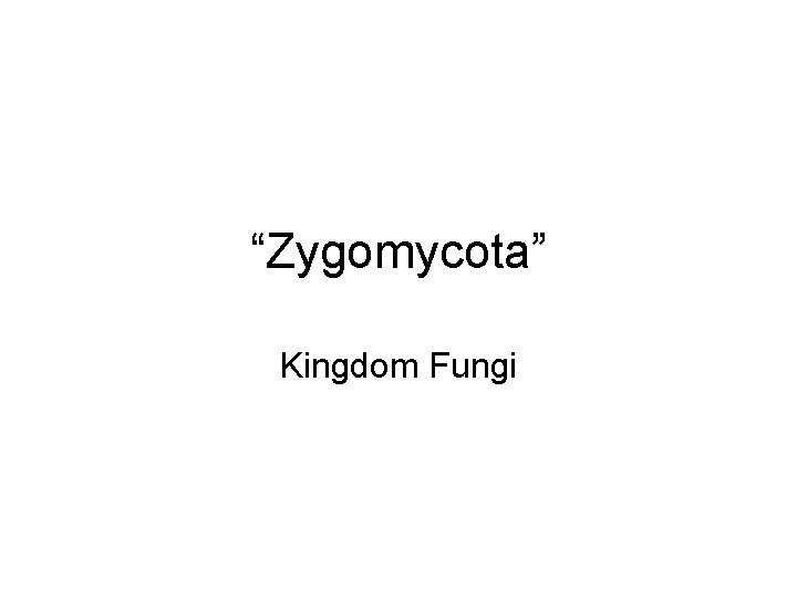 “Zygomycota” Kingdom Fungi 