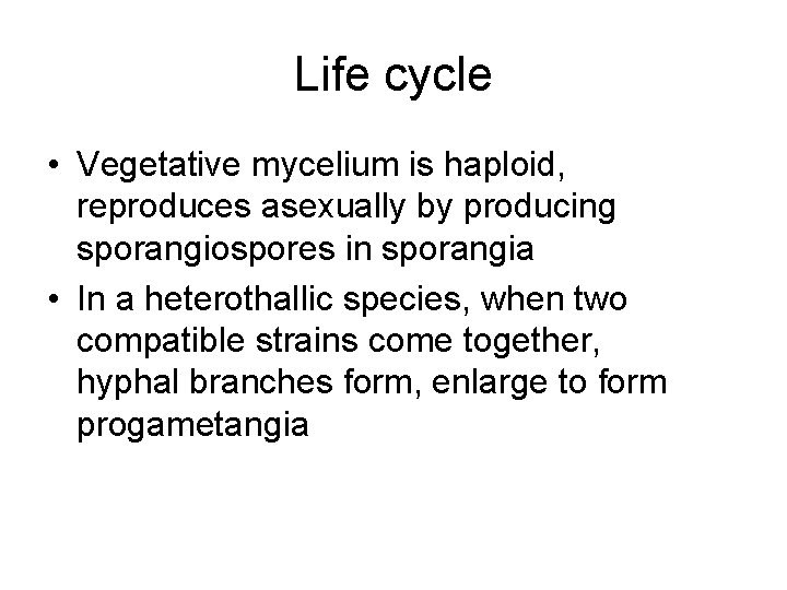 Life cycle • Vegetative mycelium is haploid, reproduces asexually by producing sporangiospores in sporangia