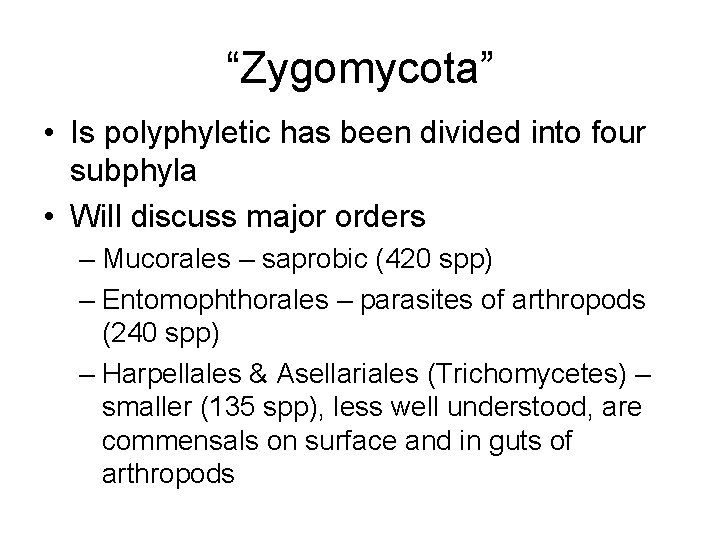 “Zygomycota” • Is polyphyletic has been divided into four subphyla • Will discuss major