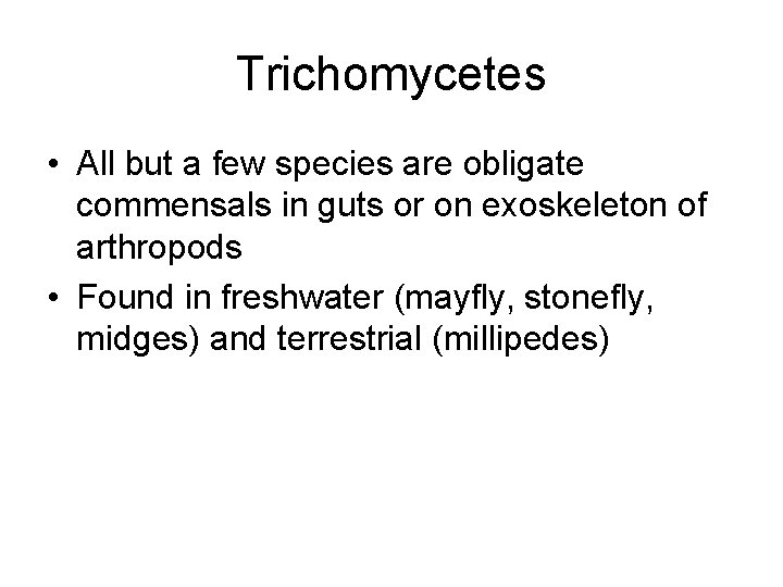 Trichomycetes • All but a few species are obligate commensals in guts or on