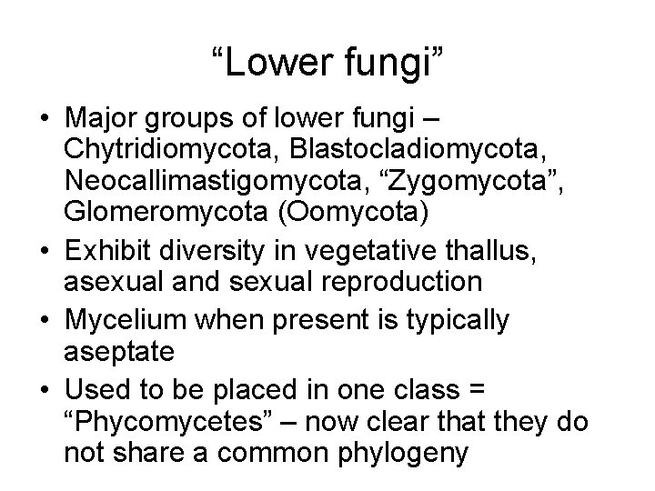“Lower fungi” • Major groups of lower fungi – Chytridiomycota, Blastocladiomycota, Neocallimastigomycota, “Zygomycota”, Glomeromycota