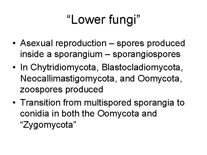 “Lower fungi” • Asexual reproduction – spores produced inside a sporangium – sporangiospores •