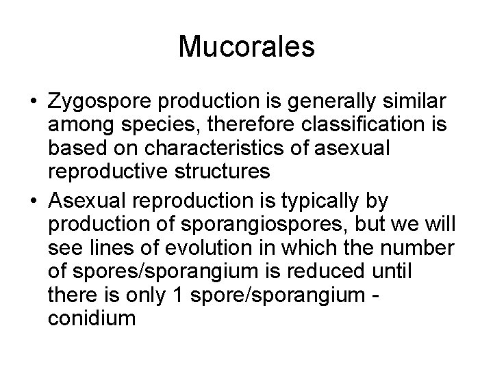 Mucorales • Zygospore production is generally similar among species, therefore classification is based on