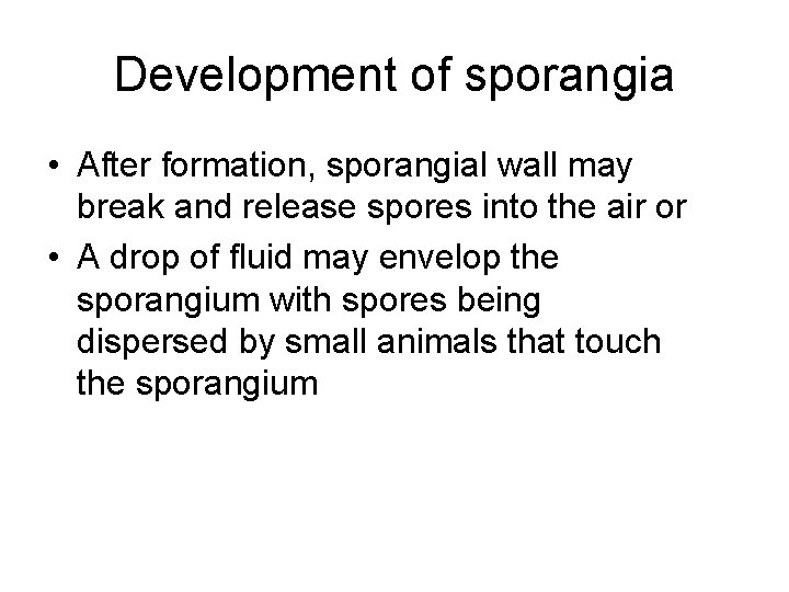 Development of sporangia • After formation, sporangial wall may break and release spores into