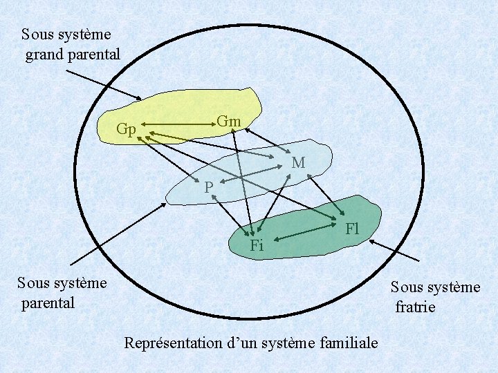 Sous système grand parental Gm Gp M P Fi Fl Sous système parental Sous