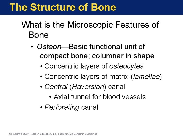 The Structure of Bone What is the Microscopic Features of Bone • Osteon—Basic functional