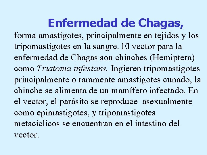Enfermedad de Chagas, forma amastigotes, principalmente en tejidos y los tripomastigotes en la sangre.
