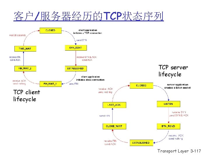 客户/服务器经历的TCP状态序列 TCP server lifecycle TCP client lifecycle Transport Layer 3 -117 客户/服务器经历的TCP状态序列 TCP server lifecycle TCP client lifecycle Transport Layer 3 -117