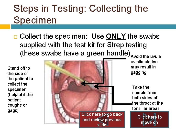 Strep Labdraw QUICKVUE INLINE RAPID STREP A TESTING Well One