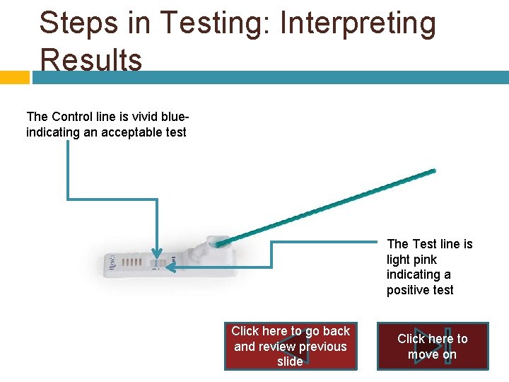 Steps in Testing: Interpreting Results The Control line is vivid blue- indicating an acceptable Steps in Testing: Interpreting Results The Control line is vivid blue- indicating an acceptable