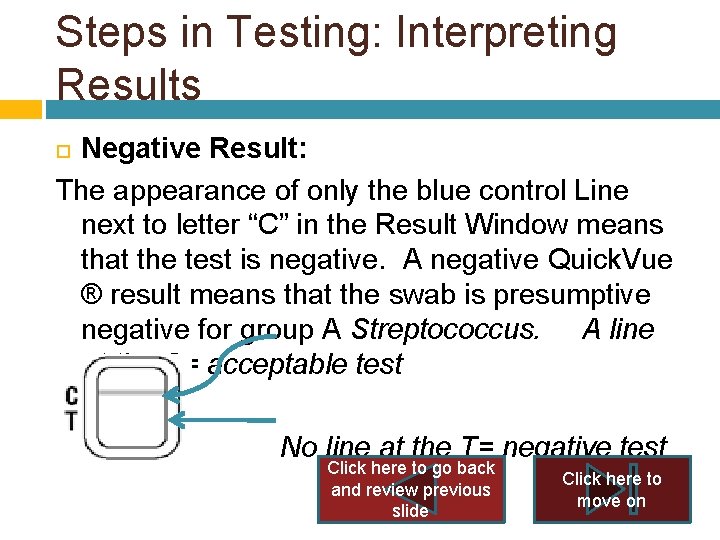 Steps in Testing: Interpreting Results Negative Result: The appearance of only the blue control Steps in Testing: Interpreting Results Negative Result: The appearance of only the blue control