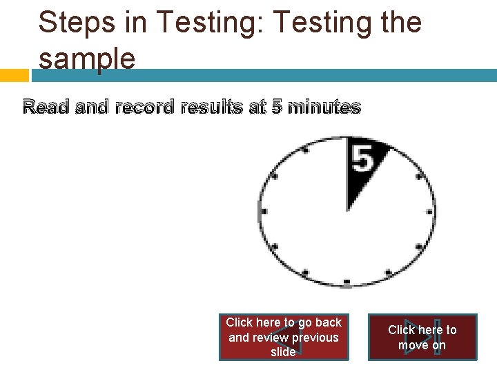 Steps in Testing: Testing the sample Read and record results at 5 minutes Click Steps in Testing: Testing the sample Read and record results at 5 minutes Click