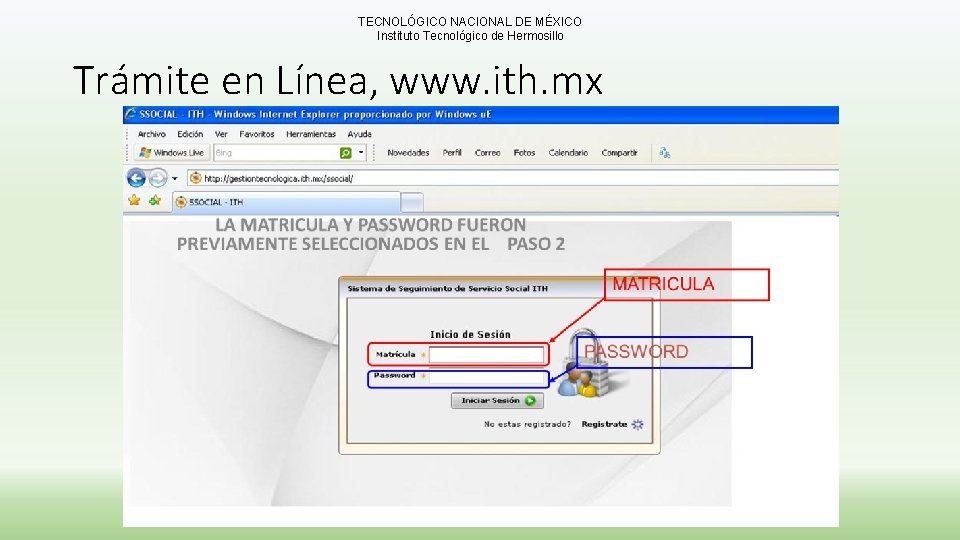 TECNOLÓGICO NACIONAL DE MÉXICO Instituto Tecnológico de Hermosillo Trámite en Línea, www. ith. mx