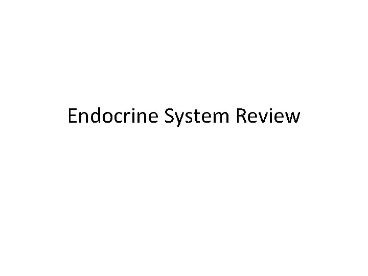 Endocrine System Review 