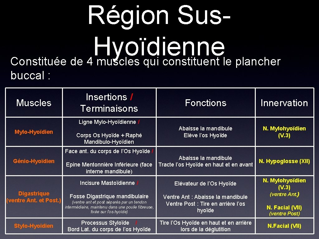 Région Sus. Hyoïdienne Constituée de 4 muscles qui constituent le plancher buccal : Muscles