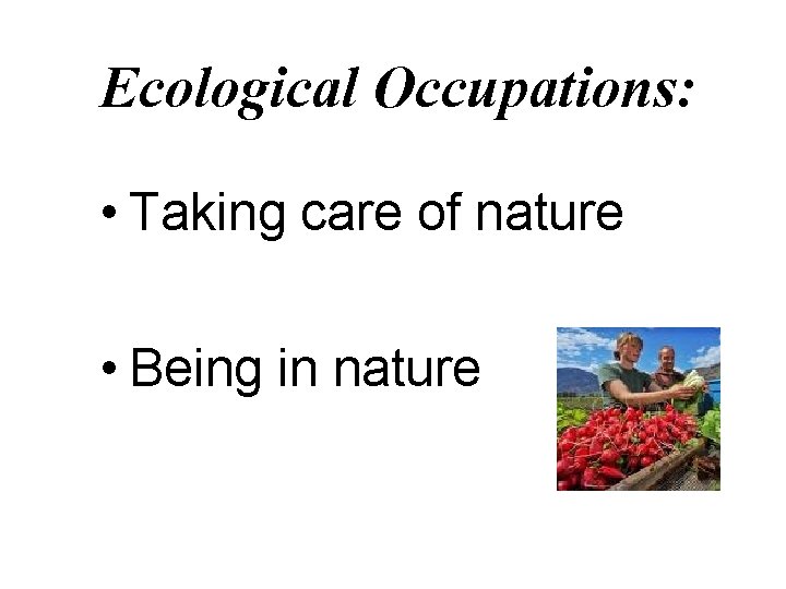 Ecological Occupations: • Taking care of nature • Being in nature 