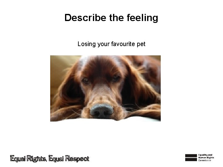 Describe the feeling Losing your favourite pet 