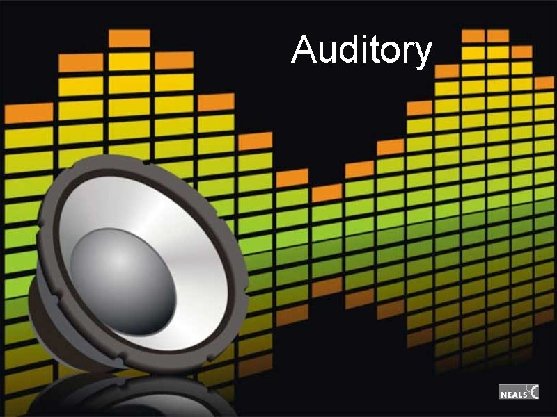 Auditory Auditory