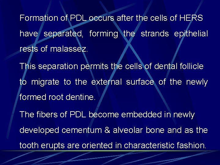 Formation of PDL occurs after the cells of HERS have separated, forming the strands