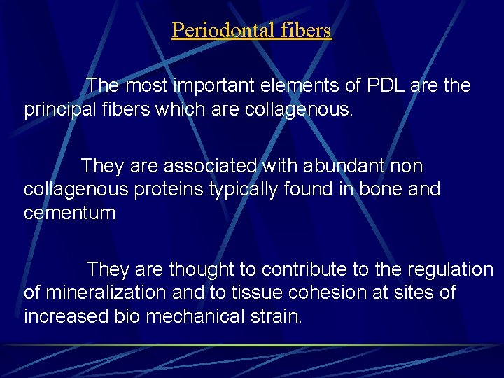 Periodontal fibers The most important elements of PDL are the principal fibers which are