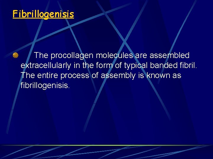 Fibrillogenisis The procollagen molecules are assembled extracellularly in the form of typical banded fibril.