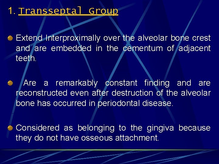 1. Transseptal Group Extend Interproximally over the alveolar bone crest and are embedded in