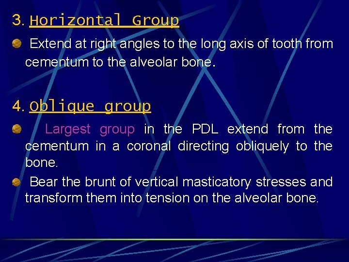 3. Horizontal Group Extend at right angles to the long axis of tooth from