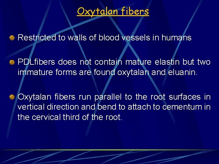Oxytalan fibers Restricted to walls of blood vessels in humans PDLfibers does not contain
