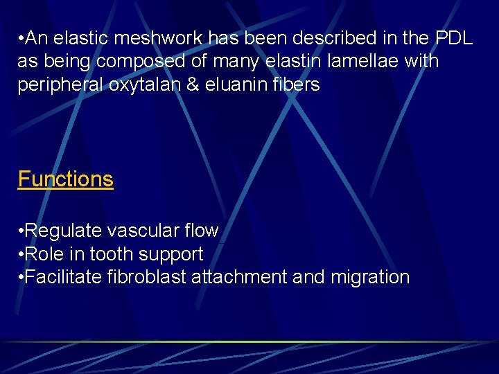  • An elastic meshwork has been described in the PDL as being composed
