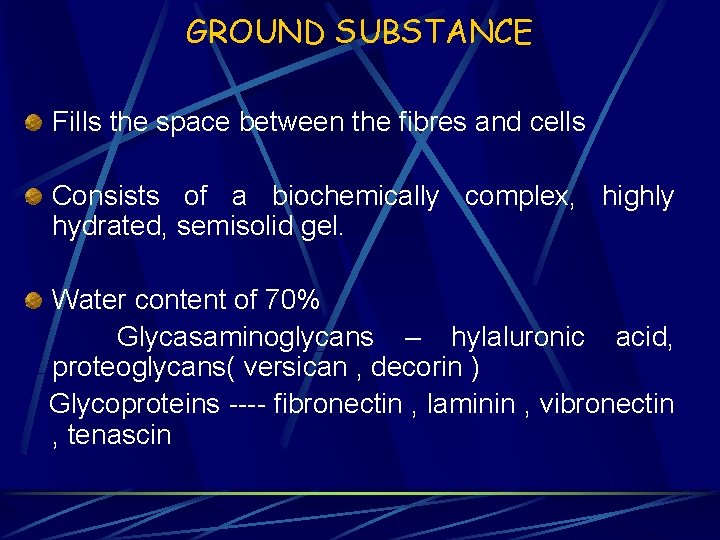 GROUND SUBSTANCE Fills the space between the fibres and cells Consists of a biochemically