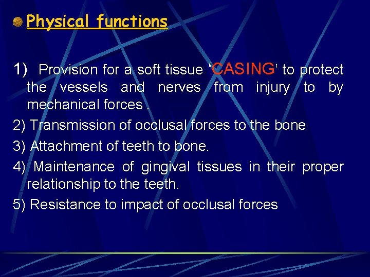Physical functions 1) Provision for a soft tissue ‘CASING’ to protect the vessels and