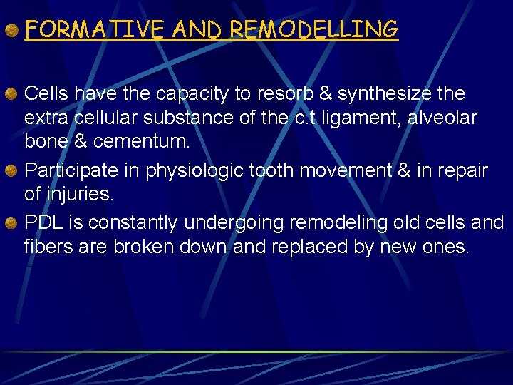 FORMATIVE AND REMODELLING Cells have the capacity to resorb & synthesize the extra cellular