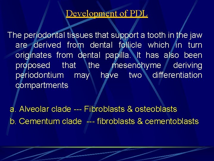 Development of PDL The periodontal tissues that support a tooth in the jaw are