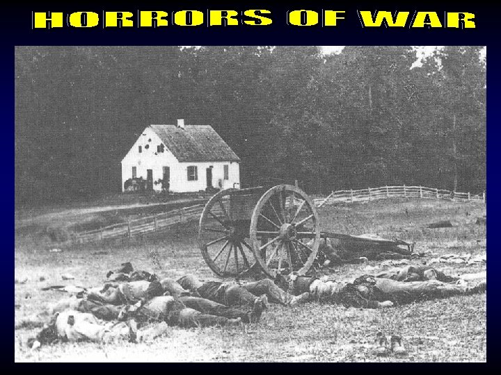 Horrors of War 2 